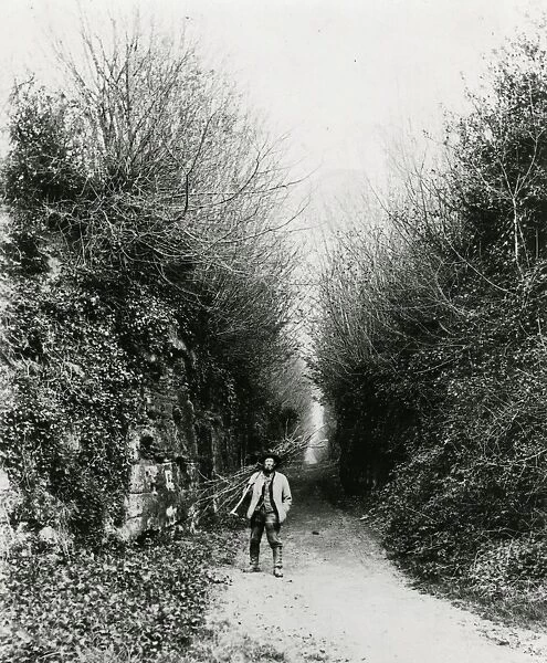 Man carrying a bundle of sticks down Hungers Lane, Petworth, 1950