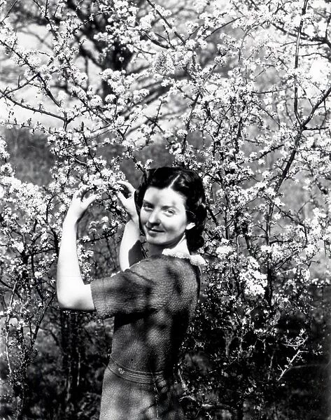 May Blossom - April 1939