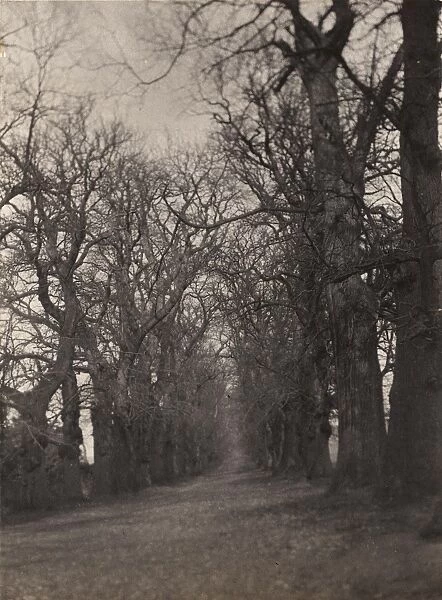 Midhurst: Chestnut Avenue, Cowdray Park, 1907