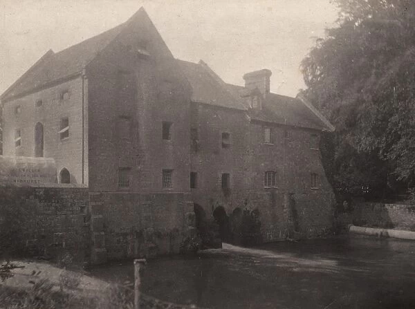 Midhurst: Cowdray Mill, 1905
