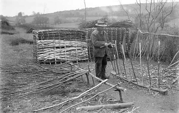 Mr Snow hurdle-making, April 1925