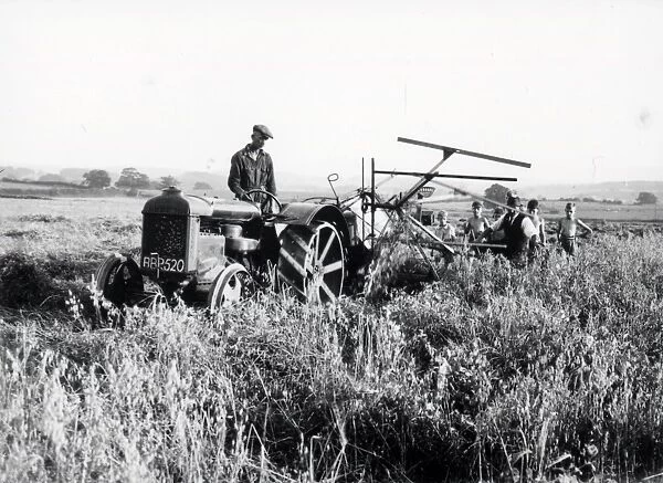 Pea Cutting at South Grove - September 1939