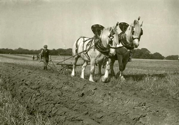 Petworth and District Ploughing Match - 2nd October 1948