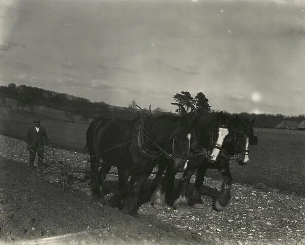 Ploughing ground at Poughley Farm
