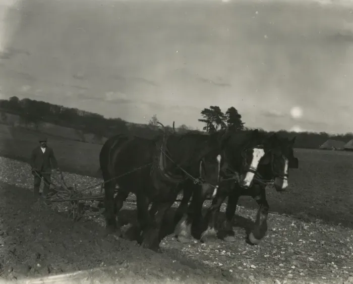 Framed Print : Ploughing ground at Poughley Farm Framed Print : Ploughing ground at Poughley Farm