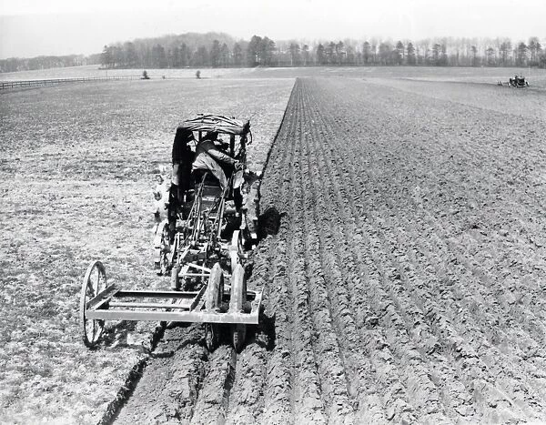 Ploughing at Petworth - April 1947