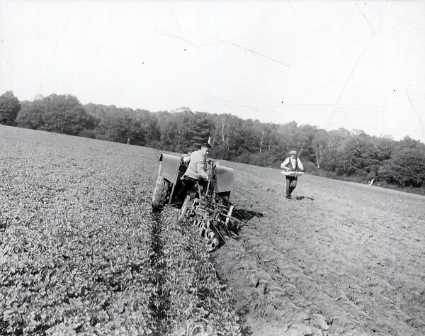 Ploughing at Wardrops Farm - October 1938