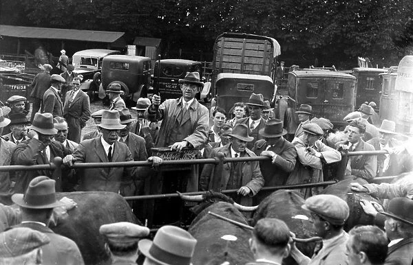 Pulborough market under new beef scheme, September 1934