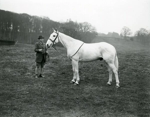 Rider with grey horse at Shillinglee, February 1938