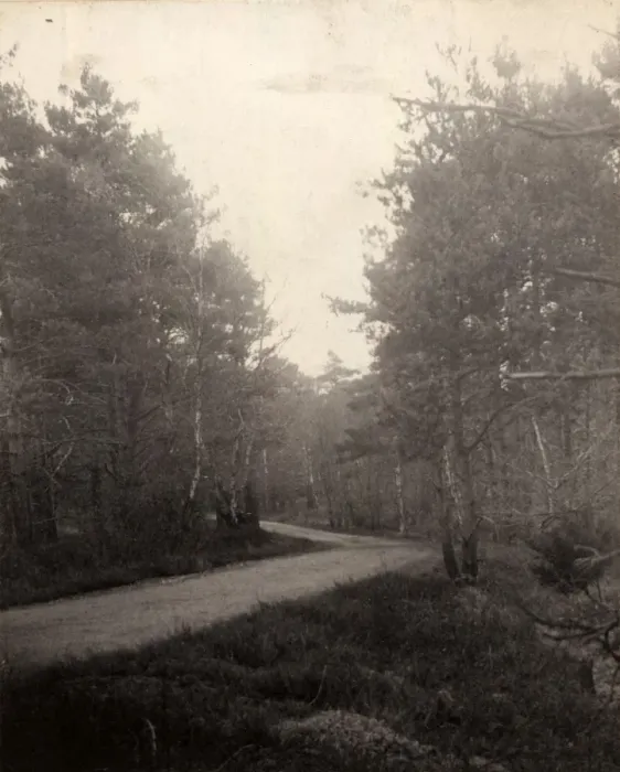 Framed Print : Road near Selham, 1907 Framed Print : Road near Selham, 1907