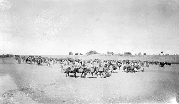 RSR 2  /  6th Battalion, Arrival at Camping Ground of 1st and 2nd Line Transports, 1917