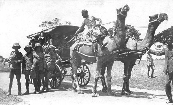 RSR 2 / 6th Battalion, Camel waggon, Mysore 1916