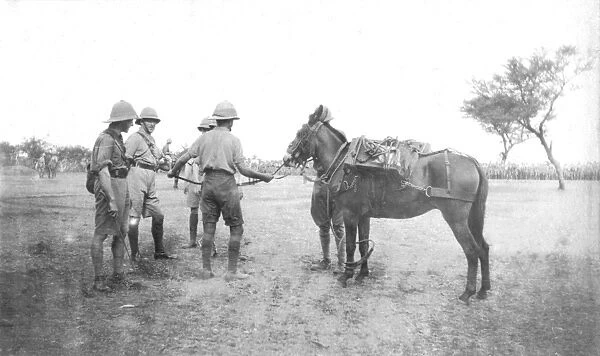 RSR 2  /  6th Battalion, A Stubborn Mule