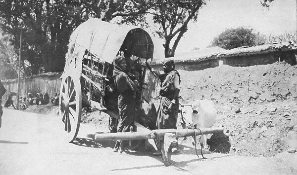 RSR 2  /  6th Battalion, Typical Mysore Girls with Bullock Cart