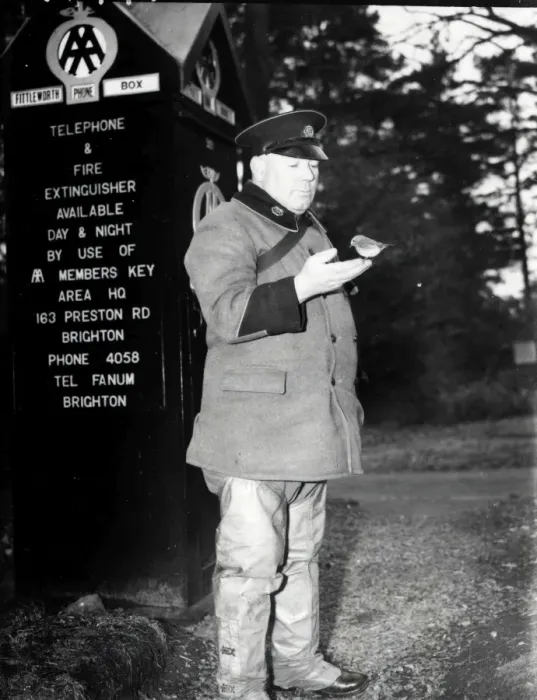 Framed Print : a Scout with Robin - January 1939