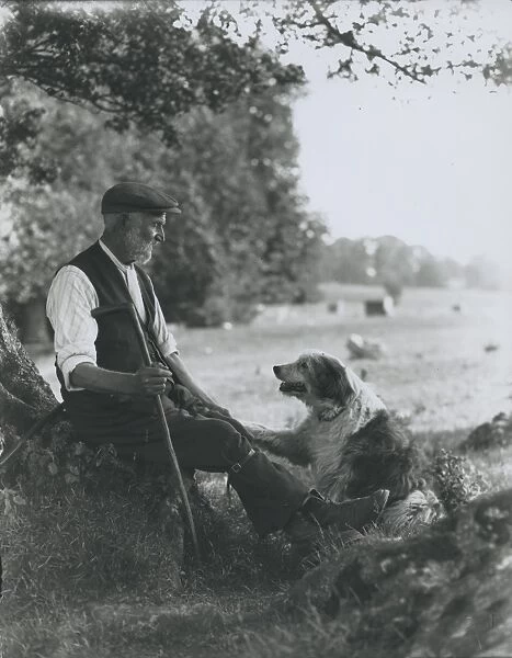 A shepherd of Goodwood, with crook and sheepdog July 1933