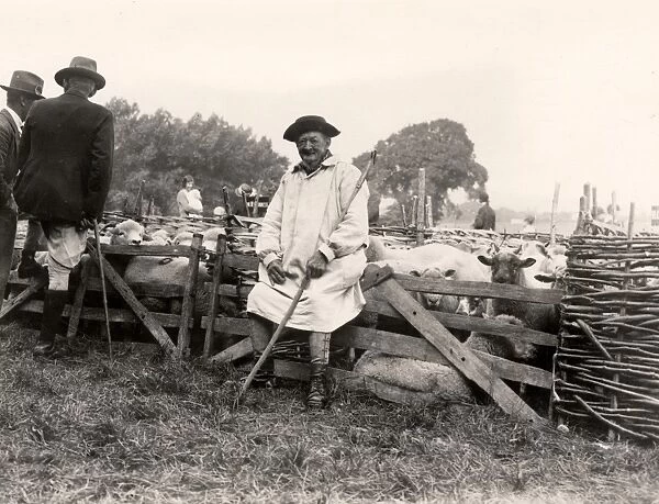 Shepherd sitting on fence at Findon Sheep Fair, 1931