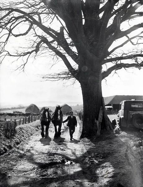 Soanes Farm, Petworth - March 1939