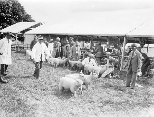 Sussex County Show at Chichester, 21 June 1933