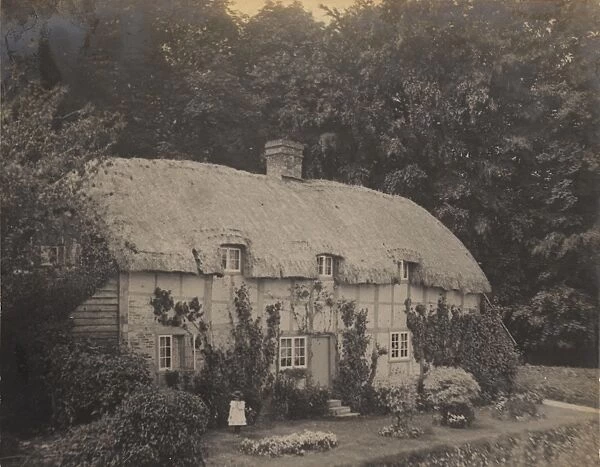 A thatched cottage in South Harting, 1902