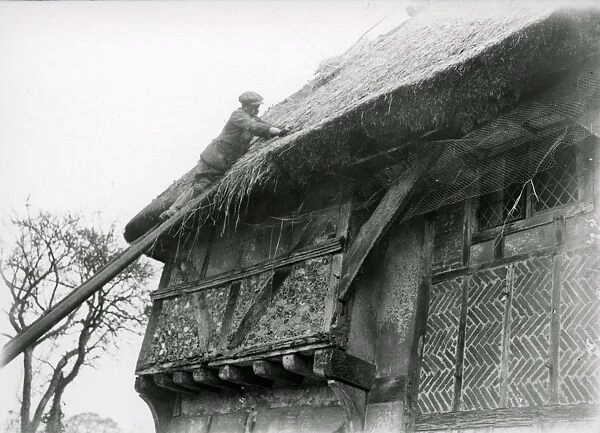 Thatching Bignor General Shop roof, February 1938