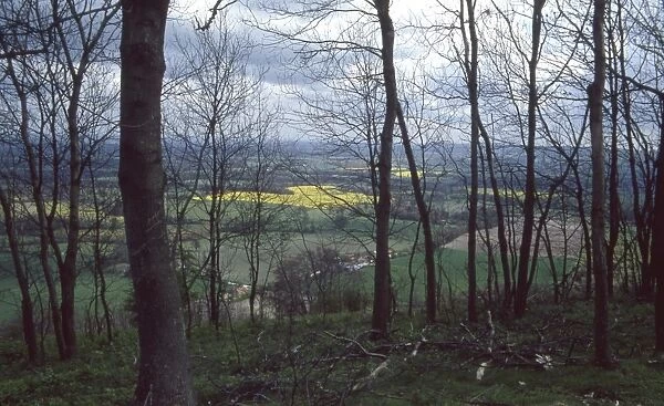 View looking north from Chanctonbury Ring, near Steyning