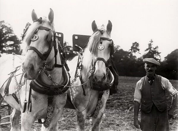 West Grinstead Ploughing Match
