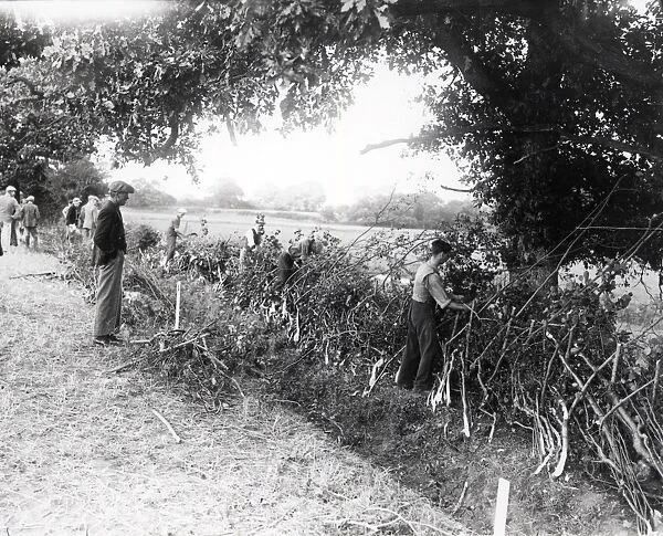 West Grinstead Ploughing Match - September 1938