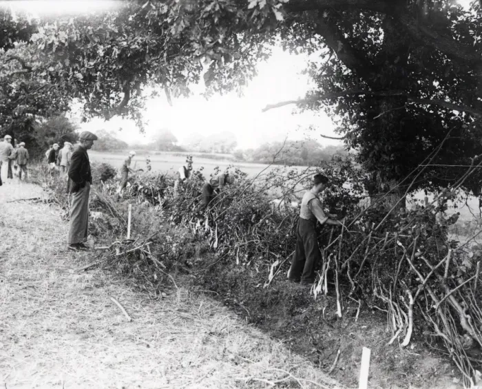 Framed Print : West Grinstead Ploughing Match - September 1938 Framed Print : West Grinstead Ploughing Match - September 1938