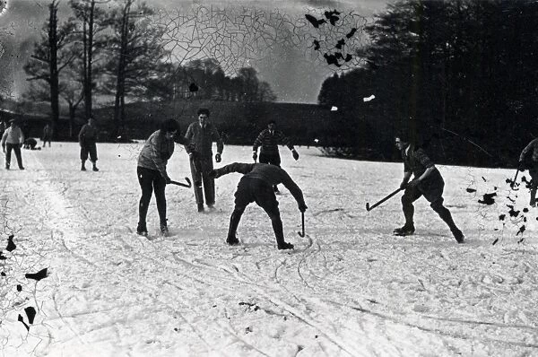 Winter Sports in Petworth Park