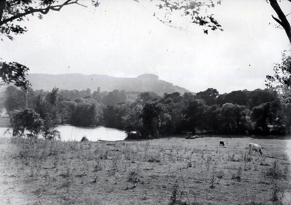 Wiston Pond - July 1939