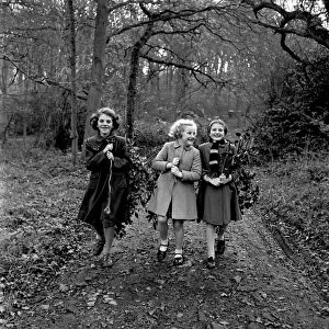 Bringing home the holly at Hill Grove, Sussex