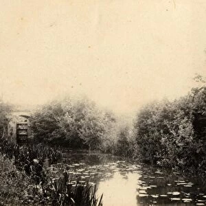 The canal in Loxwood, 21 August 1891