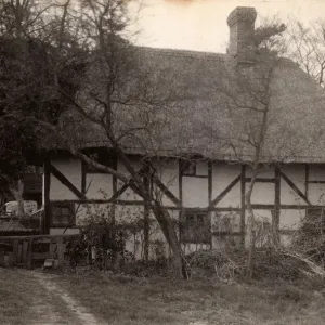 Cottage in Fittleworth, 1910 Cottage in Fittleworth, 1910