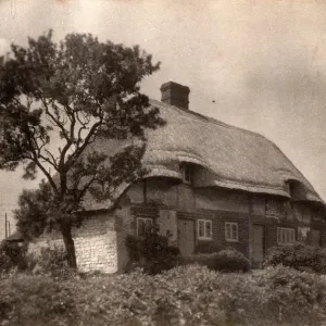 Cottage in West Harting, 1910 Cottage in West Harting, 1910