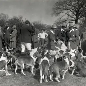 Crowhurst Otter hounds, 1927