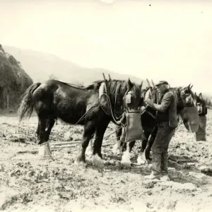 Dinner time on the farm, April 1933