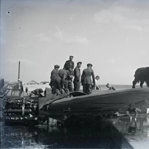 A dog sitting on wing of downed Junkers 88 in Pagham Harbour