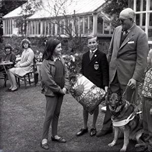 Dogs for the Blind, 1965