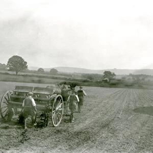Drilling mangolds at Little Common Farm: Smythe Drill, May 1933