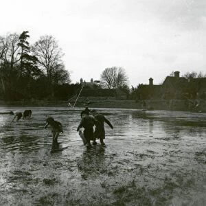 Falmer Pond, near Lewes - 7 April 1948
