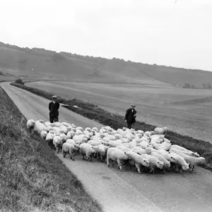 Rural