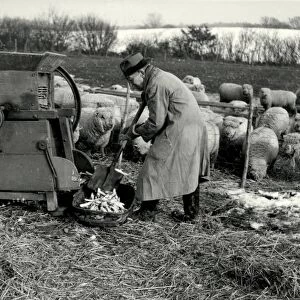 Fitzleroi Farm. Fittleworth - March 1946