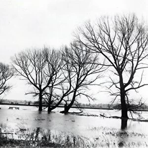 Floods at Pulborough - December 1938
