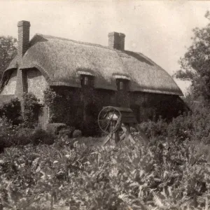 Forest Side: cottage, 1910 Forest Side: cottage, 1910