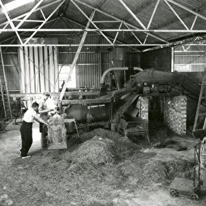Grass Drying at Billingshurst - about March 1948
