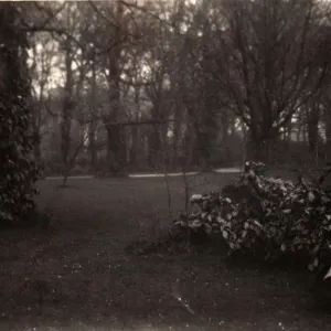 Grounds of Aldwick Manor, 1909 Grounds of Aldwick Manor, 1909