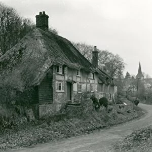 Harting cottages - 16 October 1947