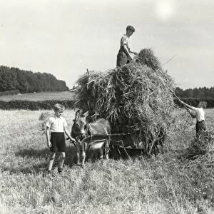 Harvest Helpers - September 1944
