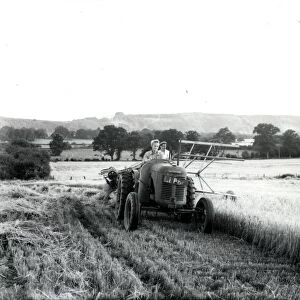 Harvesting barley at Ducton Common Farm